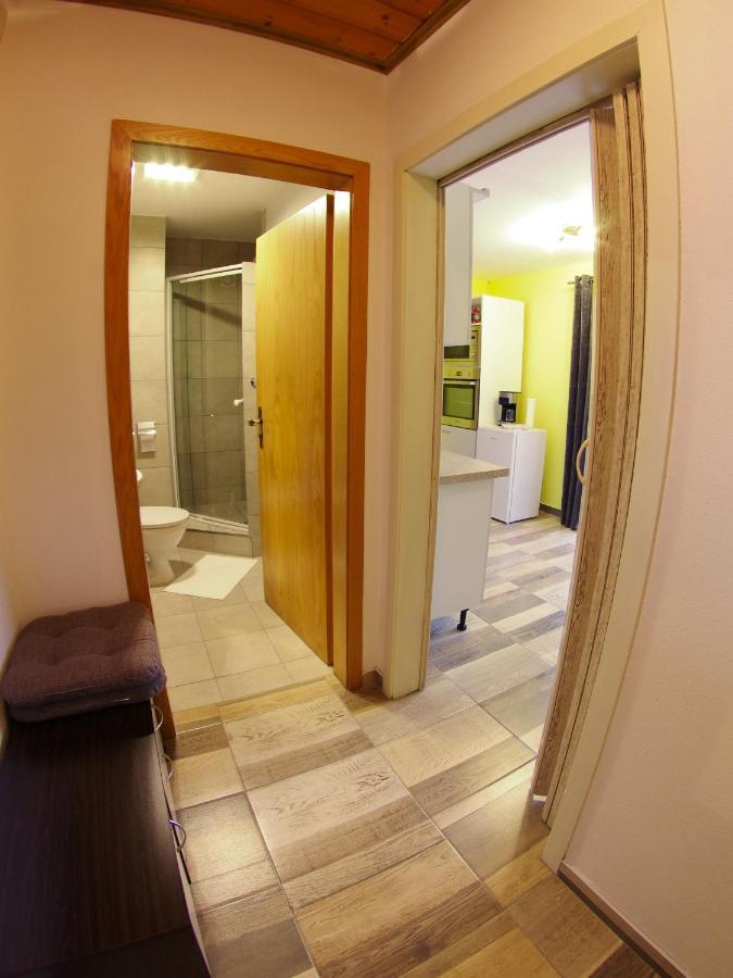 Appartement Haus Kraus à Bayerisch Eisenstein Extérieur photo
